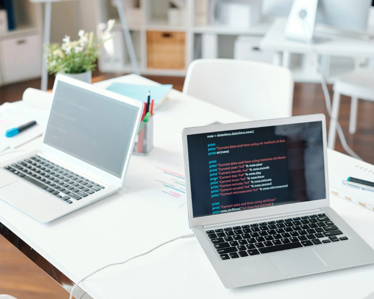 Web Development